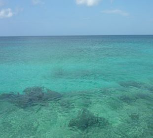 Glasklares Meer in Bayahibe
