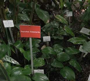 Tropicarium