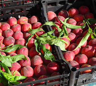 Rundgang über den Wochenmarkt Nuoro