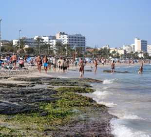 Strand von Cala Millor