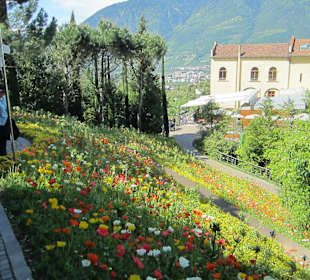 Gärten Schloss Trauttmansdorff in Meran