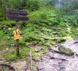Eichhörnchenweg St.Magdalena - Kradorfer Alm