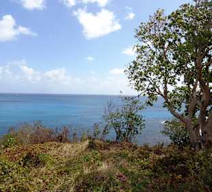 Blick von einem Aussichtspunkt auf das Meer