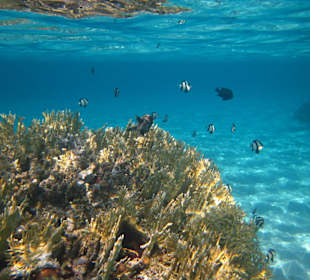 Unterwasser, glasklares Wasser