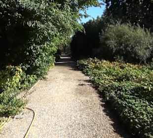 Staudengarten - Berggarten