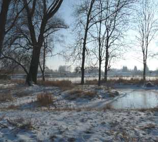 Eisige Kälte an der Isar