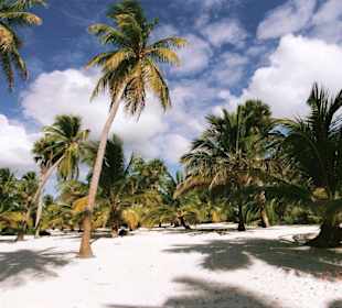 Isla Saona