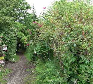 Mezger's Bürgle Park