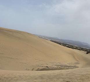 Dünen von Maspalomas
