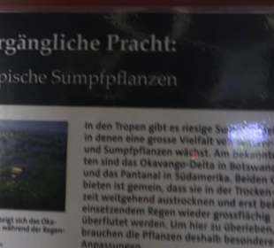 Botanischer Garten der Universität Zürich