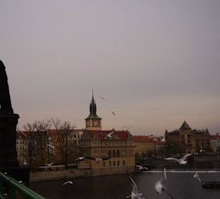 Вид с моста