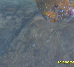 SUNRISE Grand Select Crystal Bay Resort