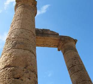 Dettaglio