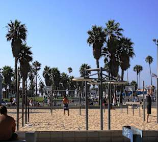 Muscle Beach