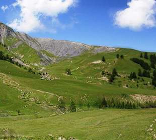 Aussicht Umgebung Halte 2000