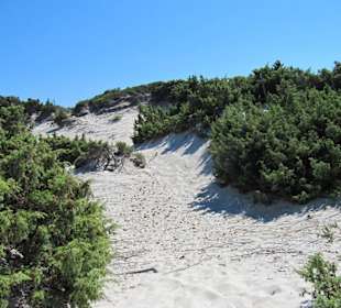 Le dune