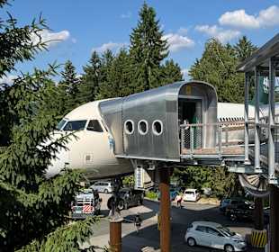 Waldwipfelweg St Englmar