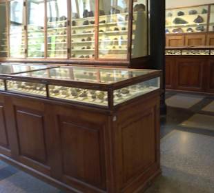 Museum für Naturkunde