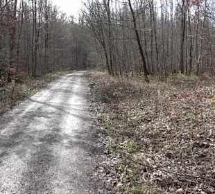 Gomaringer Rundweg - Zu den Giganten im Wald