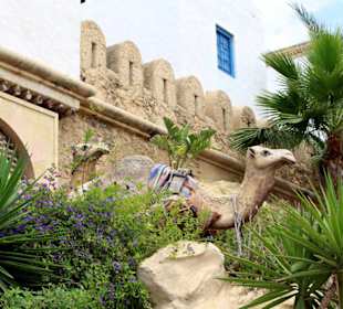 Medina Hammamet-Yasmine