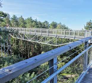Unterwegs auf dem Baumwipfelpfad Heide Himmel