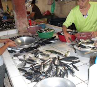 Fischverkaufsstand auf dem Markt