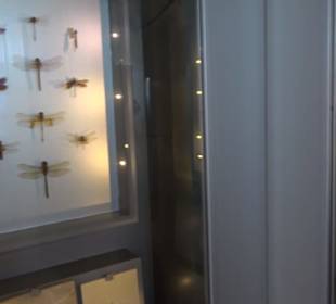 Jura-Museum