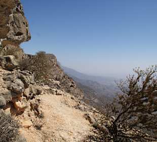 Vegetation und Wege im Jebel Samhan