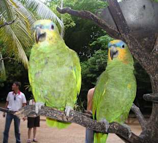 Diese beiden waren echt gut drauf