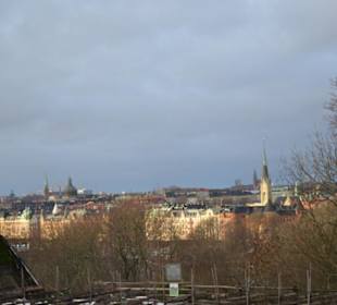 Freilichtmuseum Skansen