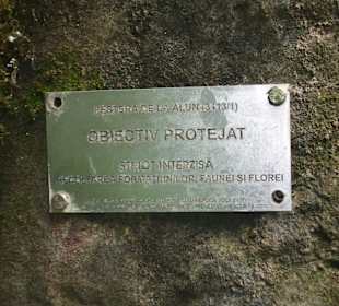 Peștera de la Alun