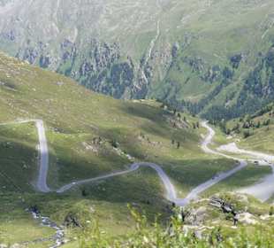 Eine Klimazone höher