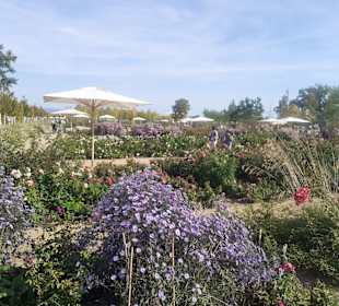 Gelände der Bundesgartenschau 2023