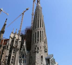 Sagrada familia