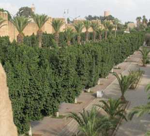 Stadtmauer von Taroudannt