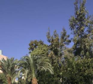 Stadtrundgang El Gouna