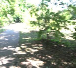 Schlosspark Hohenheim