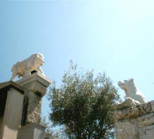Nel parco del Partenone