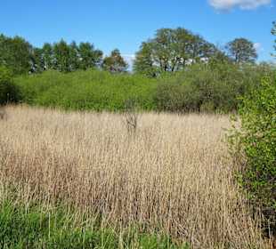 Rundgang um den Bederkesaer See