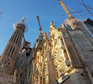 Katedra Sagrada Familia