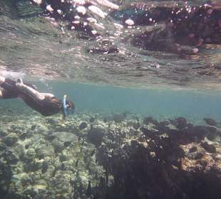 Wunderschönes Riff!