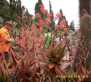 Botanischer Garten