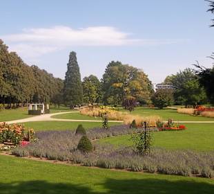 Mit dem Rad im Daliengarten von Bad Neuenahr