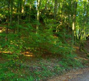 Wanderung zum Signalstein Fränk.Schweiz