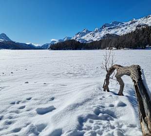 Silser See im Winter