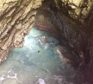 Capo Vaticano