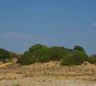 Die wunderschönen Dünen