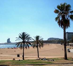 Stadtstrand Barcelona
