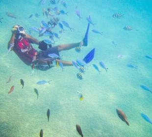 Reiseführer "Shadow"