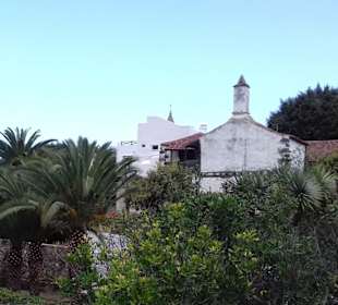 Wandern Icod de los Vinos in Icod de los Vinos